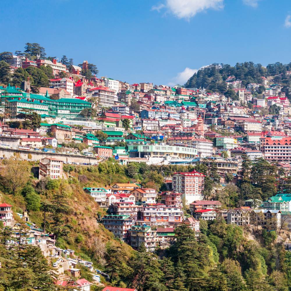 Shimla