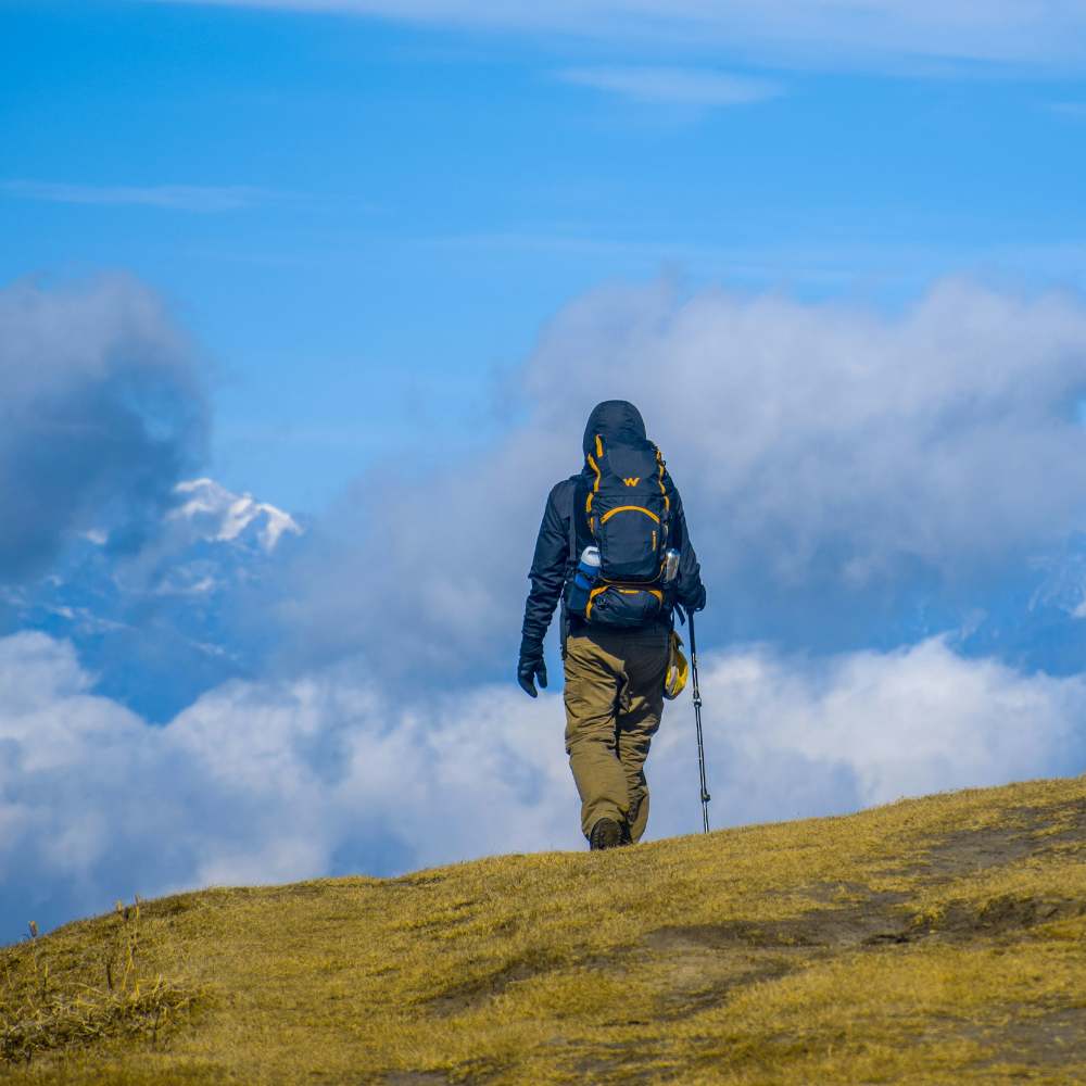 Trek the Sandakphu Ridge