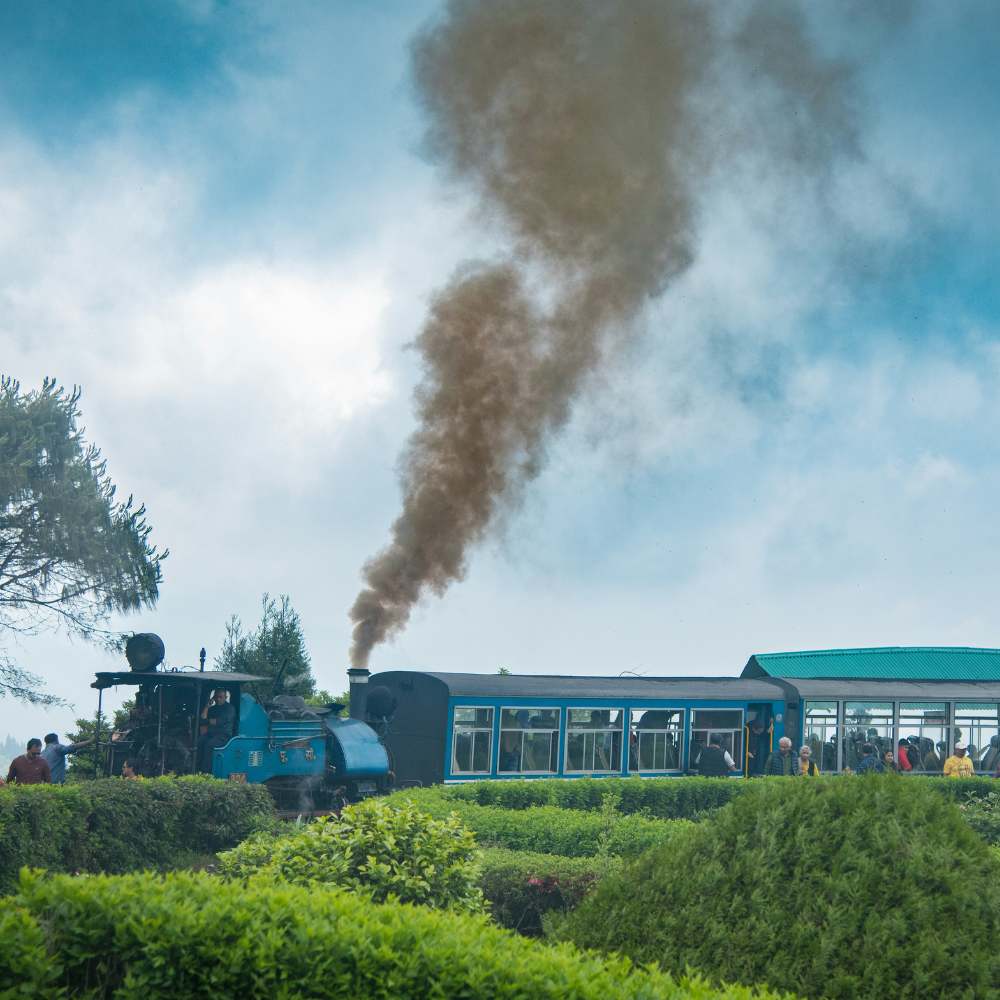 Ride the Darjeeling Himalayan Railway (The Toy Train)