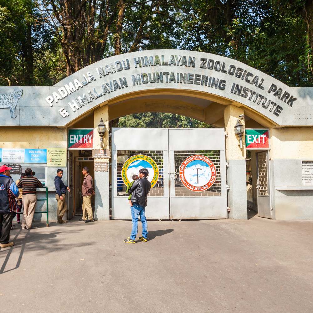 Visit Padmaja Naidu Himalayan Zoological Park