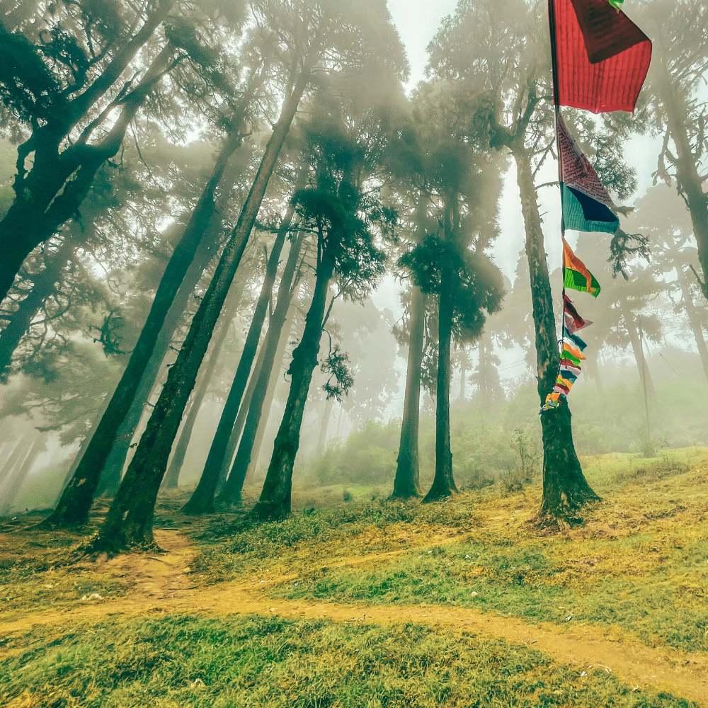 Discover Lepchajagat Forest Village