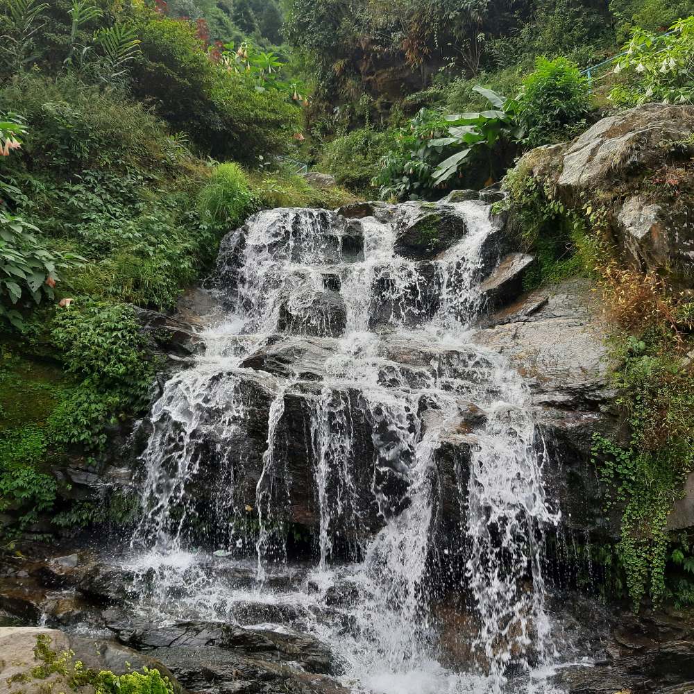 Explore Rock Garden and Ganga Maya Park