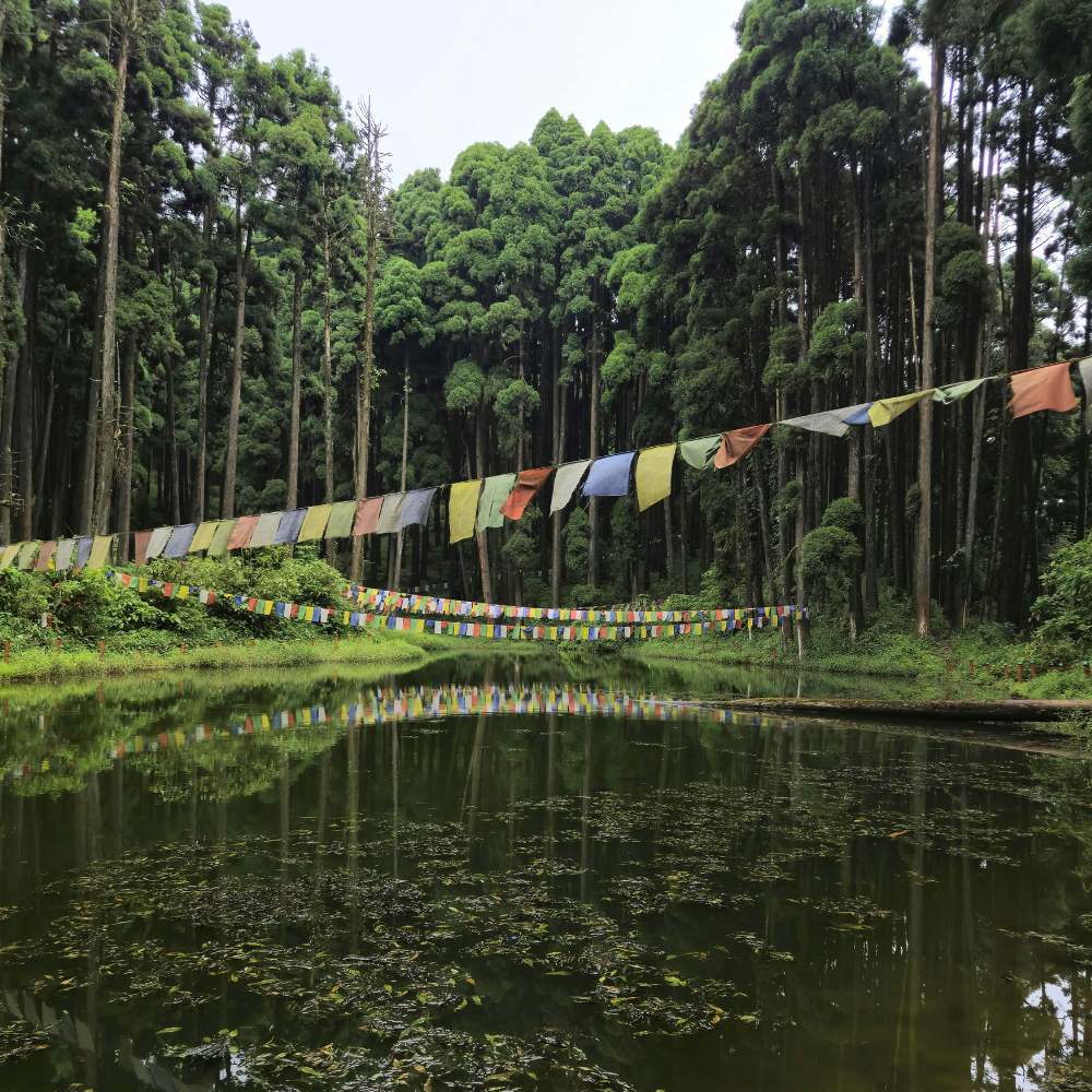 Visit Lamahatta Eco Park