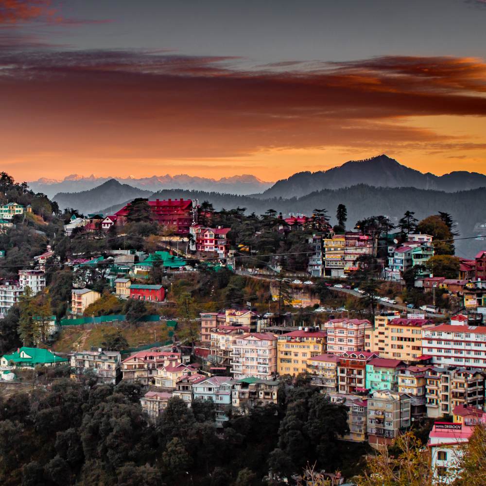 Shimla