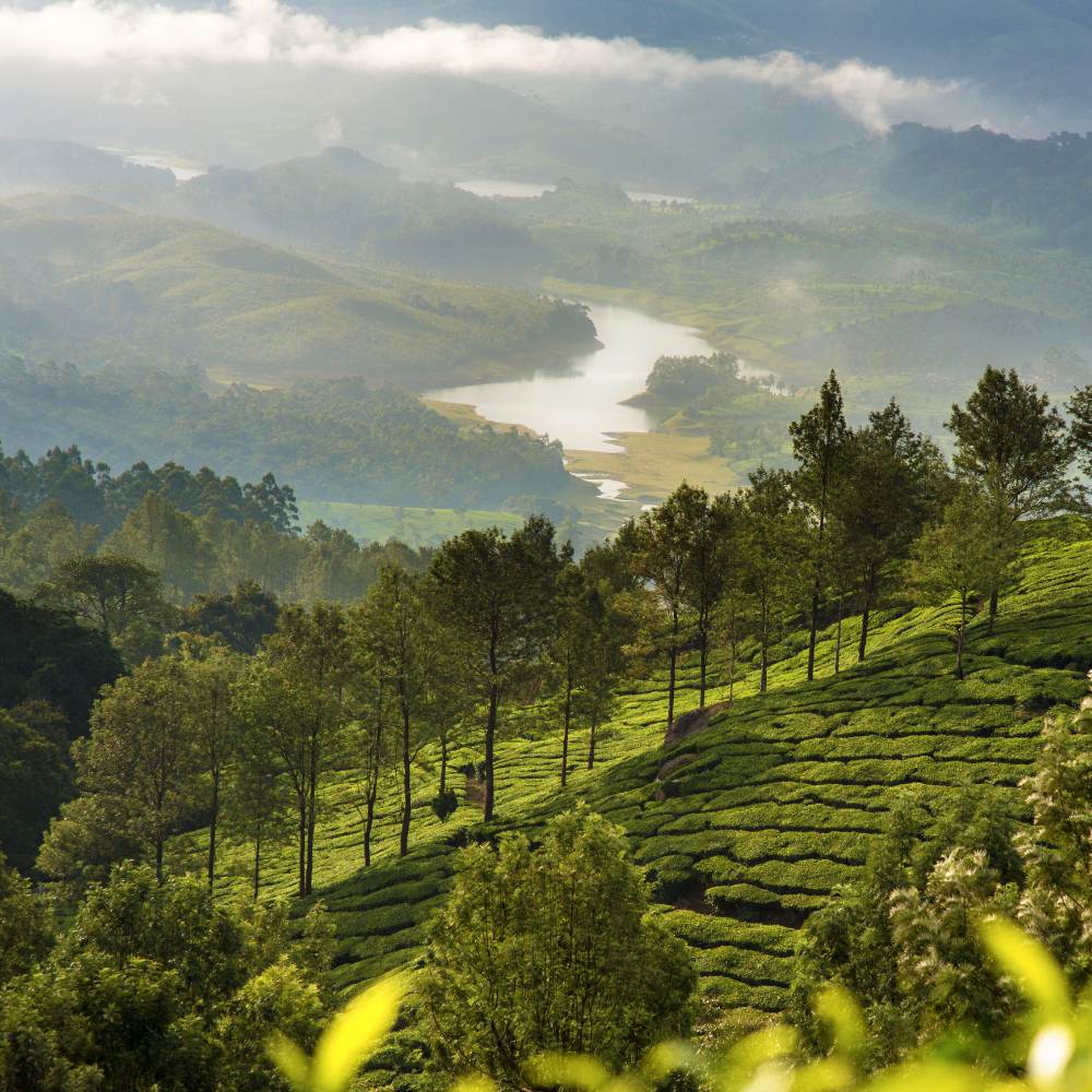 Munnar