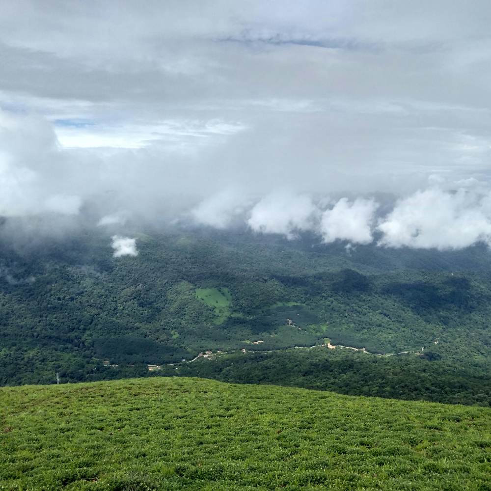Coorg (Kodagu)