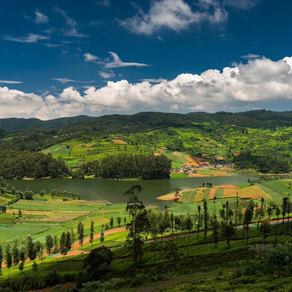 Ooty 