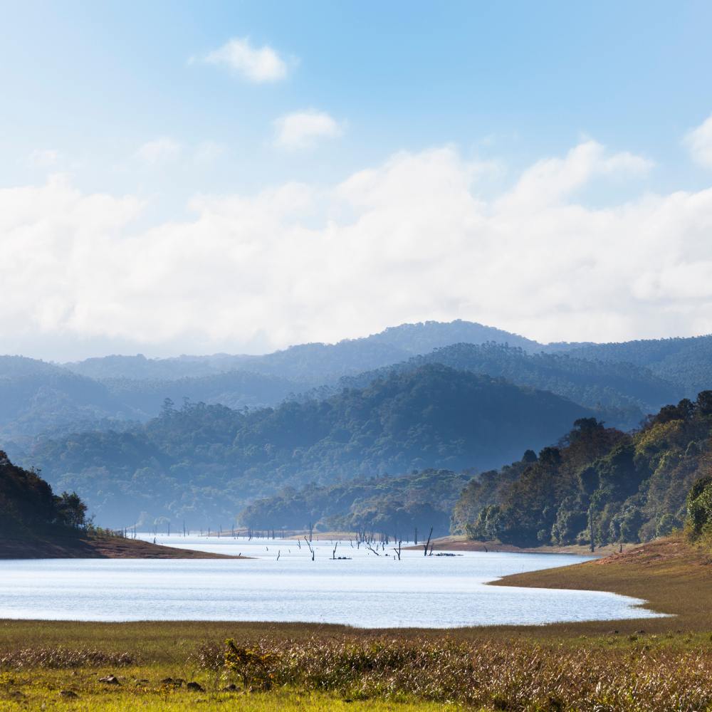 Periyar Tiger Reserve, Thekkady