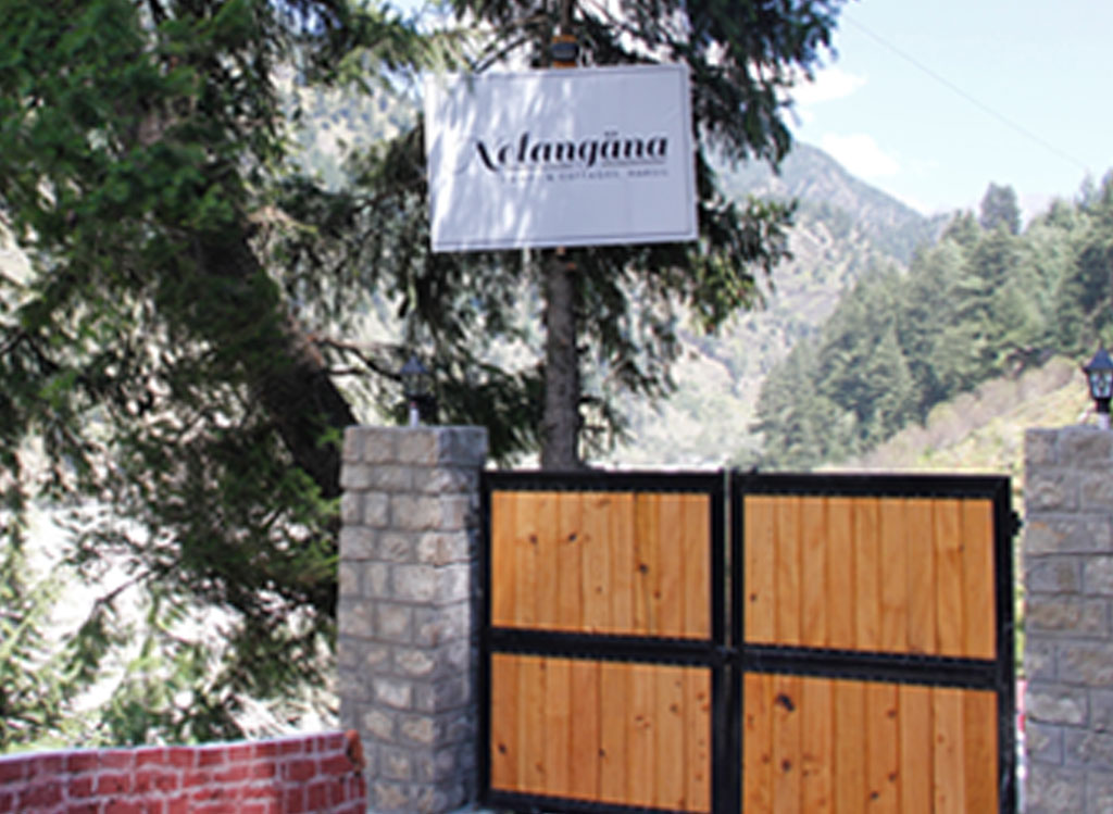 banner61912